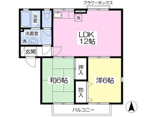 エーデルハイムＡ棟の物件間取画像